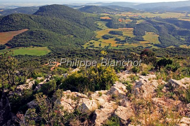 espagne catalogne 21.jpg - Terres de Lleida depuis le Monastère de MontalegreCatalogne, Espagne